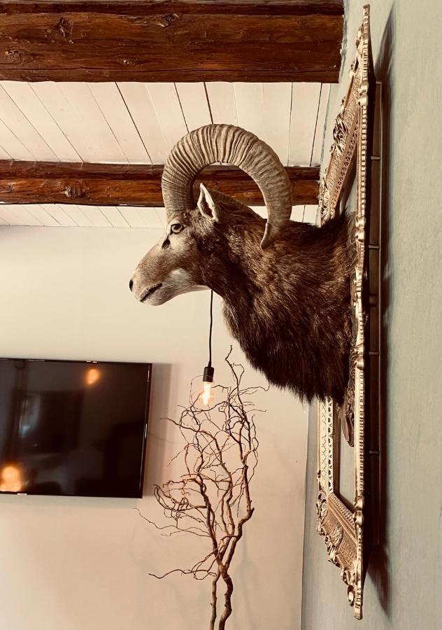 Chalet Sch-L-Afbock Markranstädt 外观 照片
