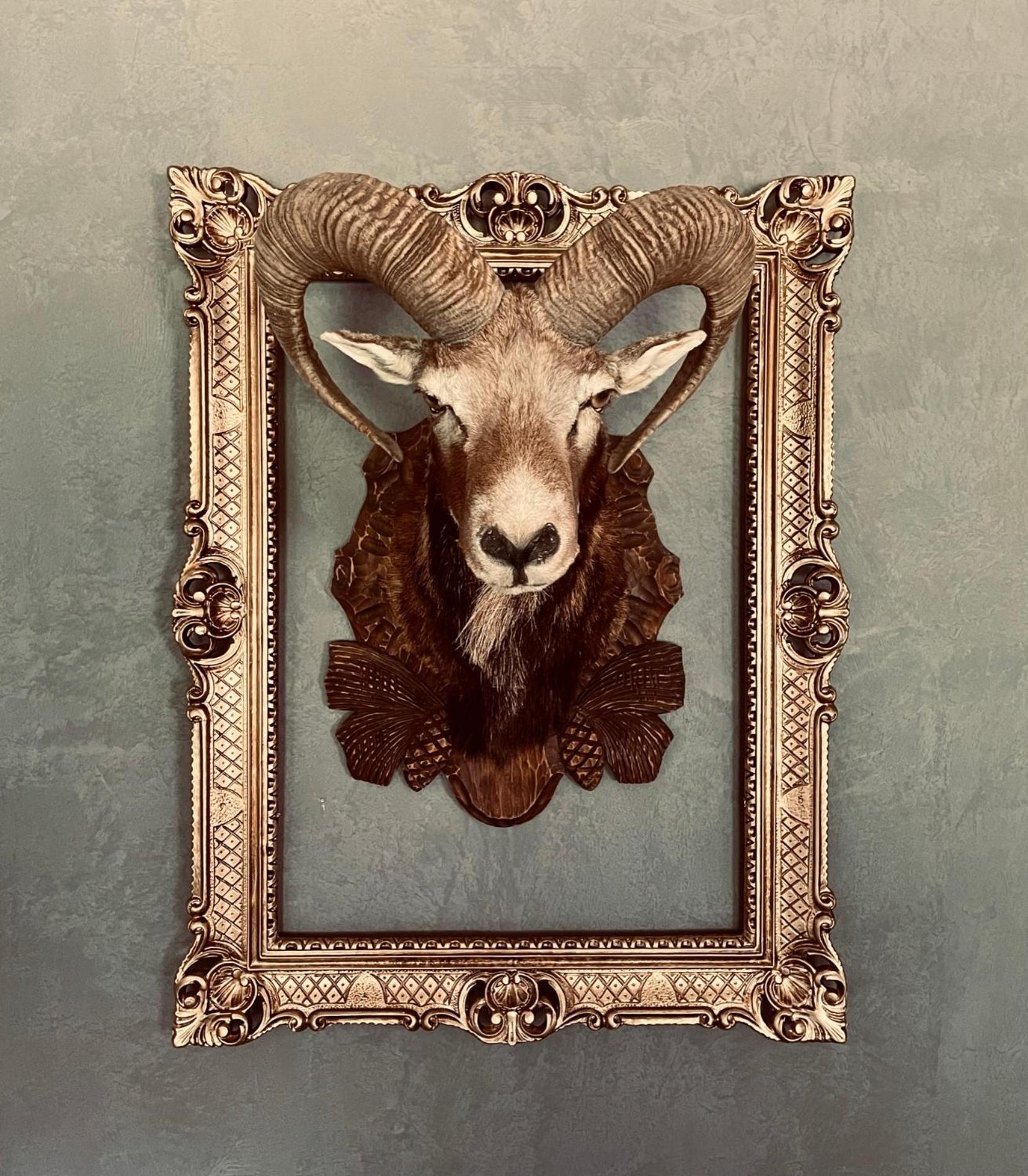 Chalet Sch-L-Afbock Markranstädt 外观 照片